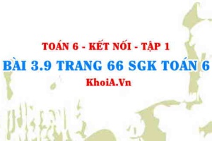 Bài 3.9 trang 66 SGK Toán 6 tập 1 Kết nối tri thức